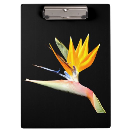 Bird of Paradise Pflanze Clipboard Klemmbrett (Vorderseite)