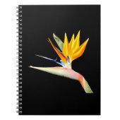 Bird of Paradise Pflanze Spiral Notebook Notizblock (Vorderseite)
