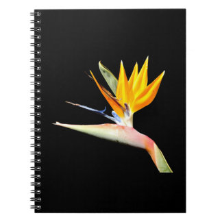 Bird of Paradise Pflanze Spiral Notebook Notizblock