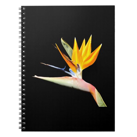 Bird of Paradise Pflanze Spiral Notebook Notizblock (Vorderseite)