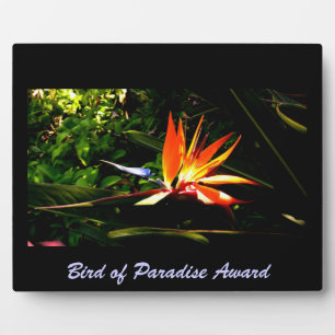Bird of Paradise Plaque Fotoplatte