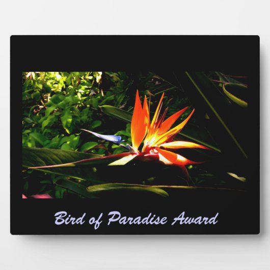 Bird of Paradise Plaque Fotoplatte (Vorderseite)
