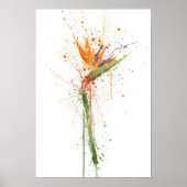 Bird of Paradise Poster (Vorne)