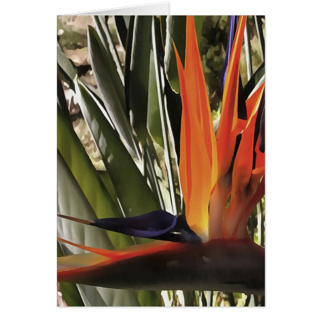 Bird of Paradise Strelitzia Reginae Acrylic Painti (Vorne)