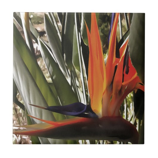 Bird of Paradise Strelitzia Reginae Acrylic Painti Fliese (Vorderseite)