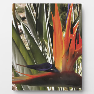 Bird of Paradise Strelitzia Reginae Acrylic Painti Fotoplatte