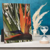 Bird of Paradise Strelitzia Reginae Acrylic Painti Fotoplatte (Seite)