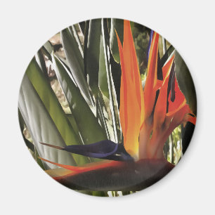 Bird of Paradise Strelitzia Reginae Acrylic Painti Magnet