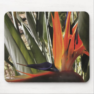 Bird of Paradise Strelitzia Reginae Acrylic Painti Mousepad