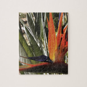 Bird of Paradise Strelitzia Reginae Acrylic Painti Puzzle