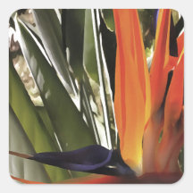 Bird of Paradise Strelitzia Reginae Acrylic Painti