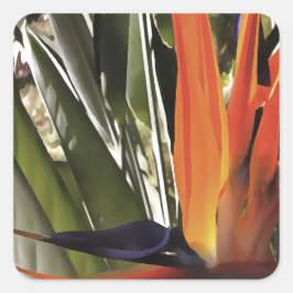 Bird of Paradise Strelitzia Reginae Acrylic Painti Quadratischer Aufkleber