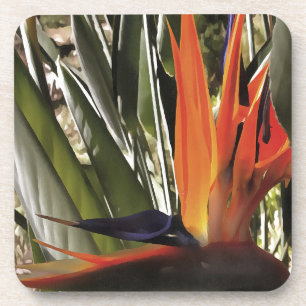 Bird of Paradise Strelitzia Reginae Acrylic Painti Untersetzer