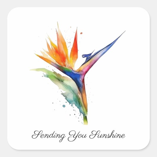 Bird of Paradise Watercolor, custom Quadratischer Aufkleber (Vorderseite)