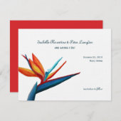 Bird of Paradise Watercolor Save the Date Card (Vorne/Hinten)