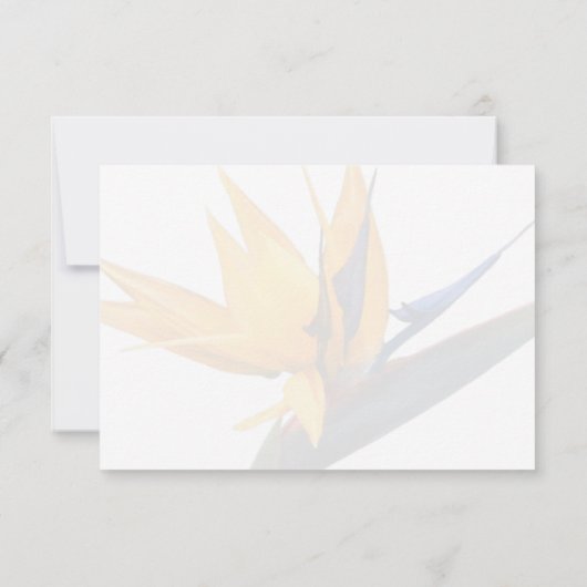 Bird of Paradise White Wedding Menü Antwortkarten RSVP Karte (Rückseite)