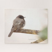 Bird On Branch Young Junvenile Black Phoebe Jigsaw Puzzle (Horizontal)