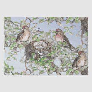 Bird on Nest Blue Sky Trees Blätter Decoupage Craf Seidenpapier