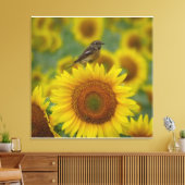 Bird on Sunflower - Naturefotografie Print Leinwanddruck (Insitu (Wohnzimmer))