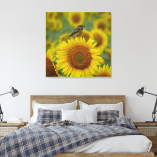 Bird on Sunflower - Naturefotografie Print Leinwanddruck