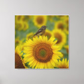 Bird on Sunflower - Naturefotografie Print Leinwanddruck (Vorderseite)