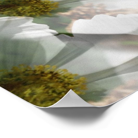 Bird on White Cosmos Fantasy Art Poster (Ecke)