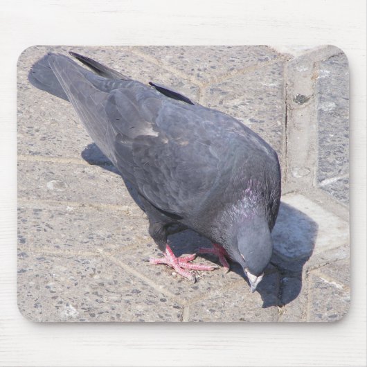 Bird Pad Mousepad (Vorne)