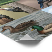 Bird Panopy Print Poster (Ecke)