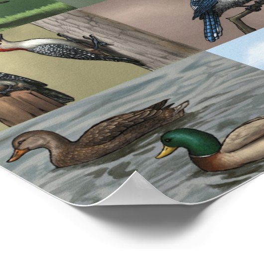 Bird Panopy Print Poster (Ecke)