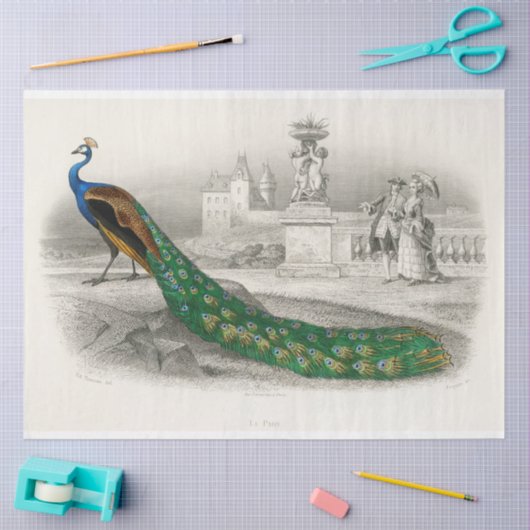 Bird Peacock Ephemera Decoupage Französisch Seidenpapier (Basteln)