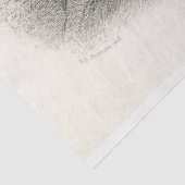 Bird Peacock Ephemera Decoupage Französisch Seidenpapier (Ausschnitt)