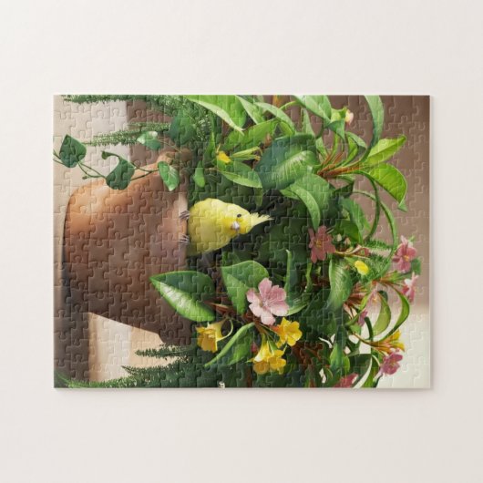 Bird Perch Puzzle (Horizontal)