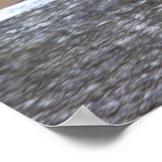 Bird Perched Poster (Ecke)