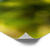 Bird Perfect 24 x 24.81 Archival Paper Poster (Ecke)