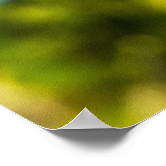 Bird Perfect 24 x 24.81 Archival Paper Poster (Ecke)