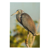 Bird Perfect 24 x 36 Holzwall Art