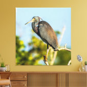 Bird Perfect 35.70 x 37 gesteppte Canvas Print Leinwanddruck (Insitu (Wohnzimmer))