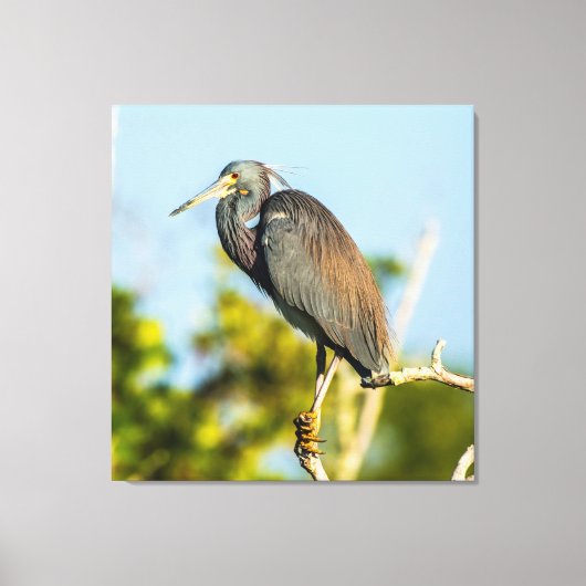 Bird Perfect 35.70 x 37 gesteppte Canvas Print Leinwanddruck (Vorderseite)