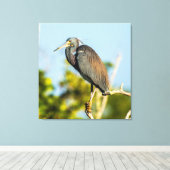 Bird Perfect 35.70 x 37 gesteppte Canvas Print Leinwanddruck (Insitu (Holzboden))