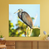 Bird Perfect 35.70 x 37 gesteppte Canvas Print Leinwanddruck (Insitu (Wohnzimmer))
