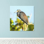 Bird Perfect 35.70 x 37 gesteppte Canvas Print Leinwanddruck (Insitu (Holzboden))