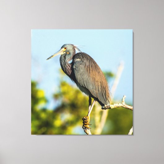 Bird Perfect 35.70 x 37 gesteppte Canvas Print Leinwanddruck (Vorderseite)