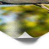 Bird Perfect 8 x 10 Kodak Pro Foto Paper (Ecke)