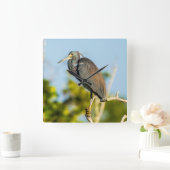 Bird Perfect Acrylic Wall Clock Quadratische Wanduhr (Zuhause)