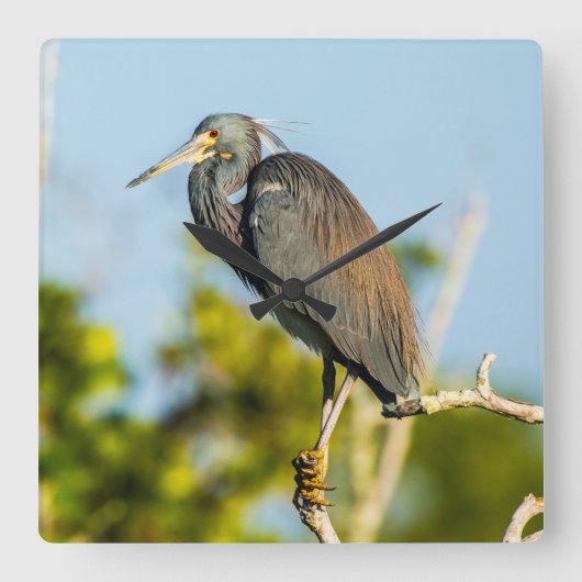 Bird Perfect Acrylic Wall Clock Quadratische Wanduhr (Vorderseite)