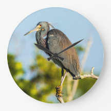 Bird Perfect Acrylic Wall Clock, rund (groß)