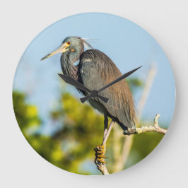 Bird Perfect Acrylic Wall Clock, rund (groß) Große Wanduhr