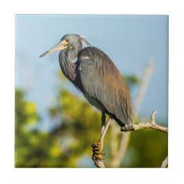 Bird Perfect Keramik Tile Art Fliese