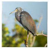 Bird Perfect Keramik Tile Art Fliese (Vorderseite)