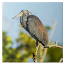 Bird Perfect Keramik Tile Art